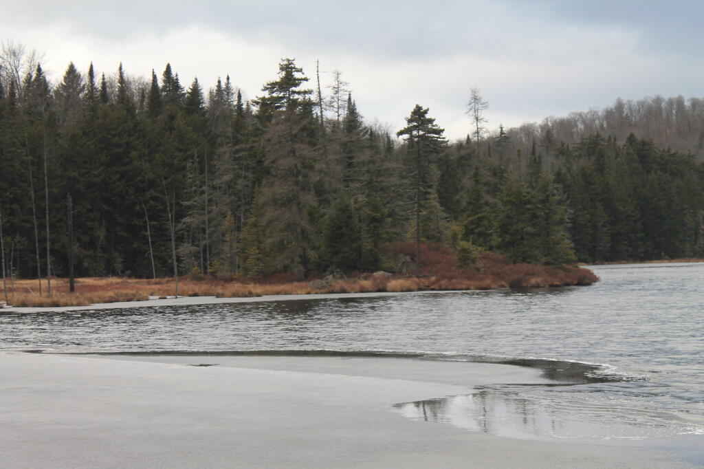 Photo: Rankin Pond is Freezing Photo: Rankin Pond is Freezing