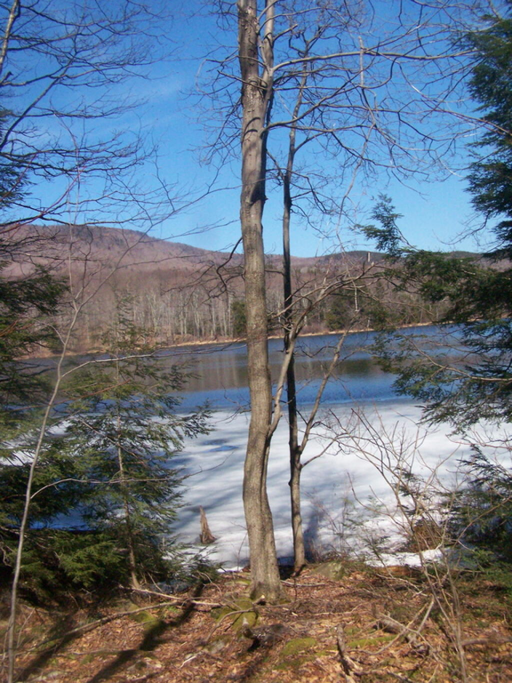 Photo: Across the Lake Photo: Across the Lake