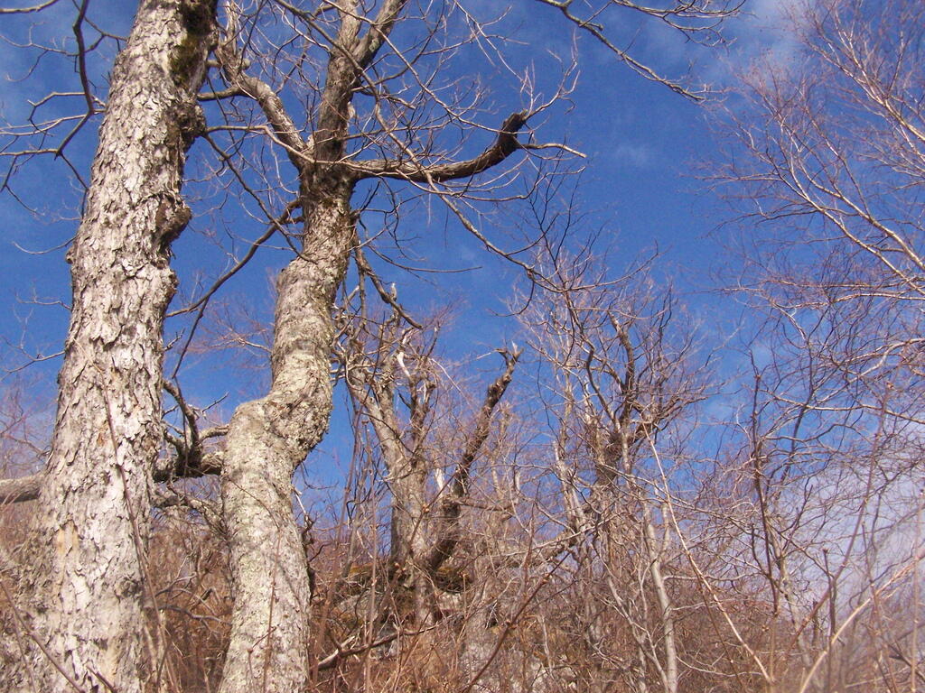 Photo: Clearing Skies Photo: Clearing Skies