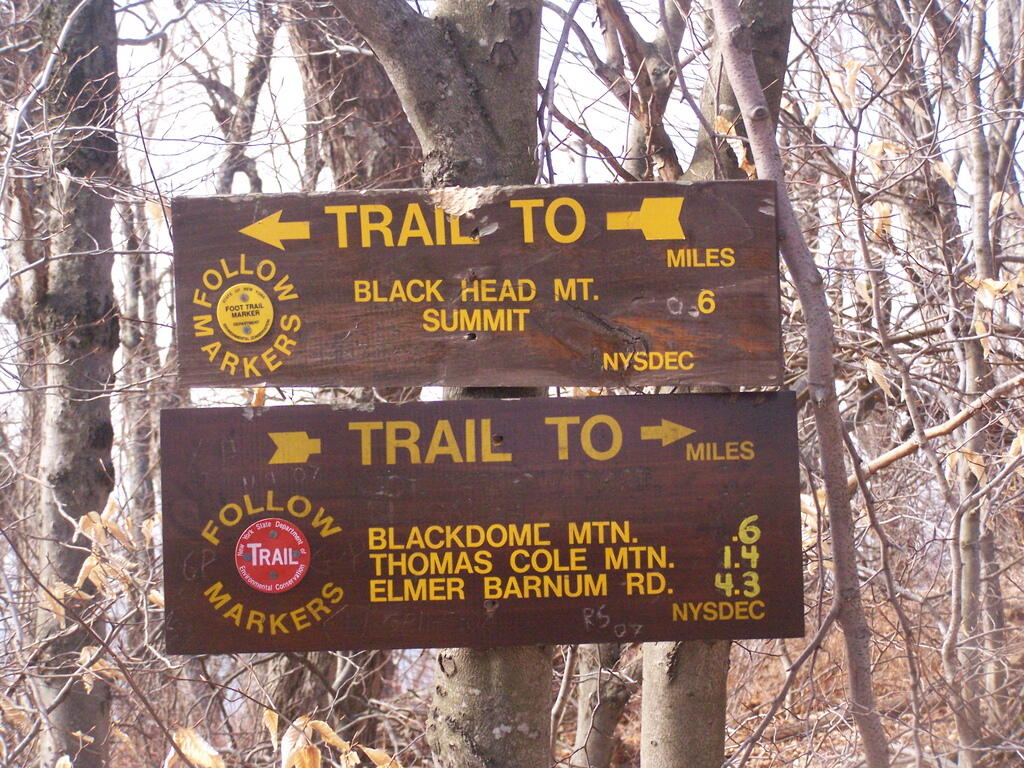 Photo: Trail Choices Photo: Trail Choices