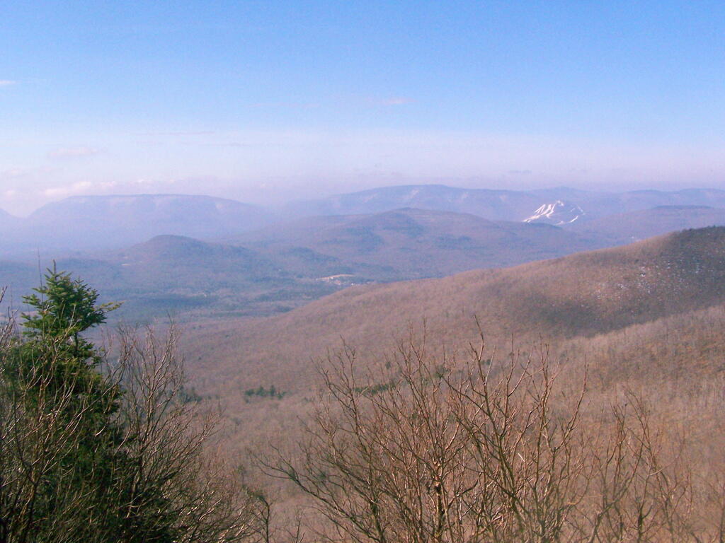 Photo: Tree Mountains Photo: Tree Mountains