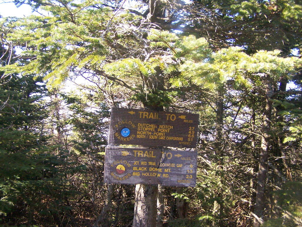 Photo: Blackhead Signs Photo: Blackhead Signs