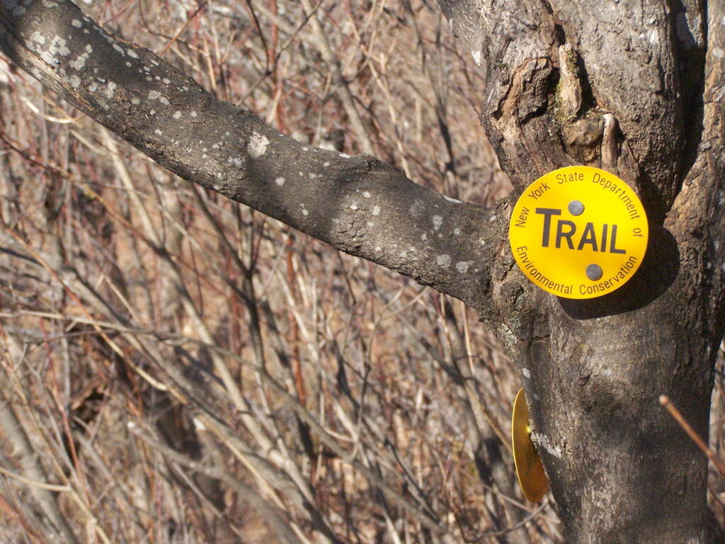 Photo: Yellow Trail Photo: Yellow Trail