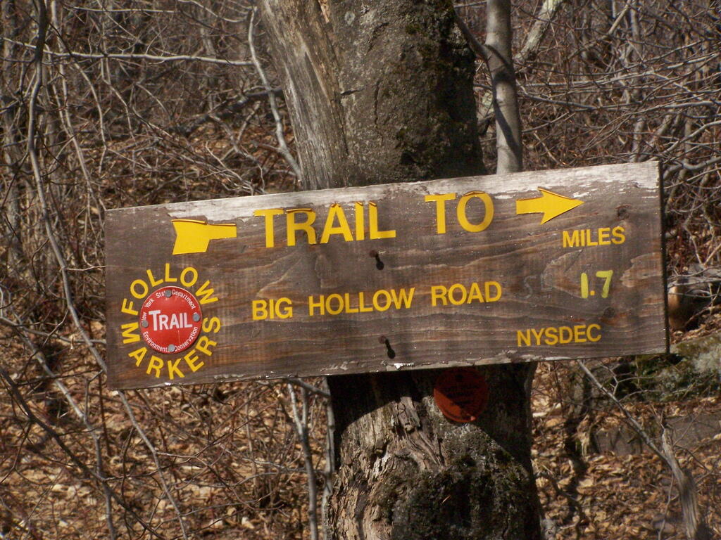 Photo: Big Hollow Rd Photo: Big Hollow Rd