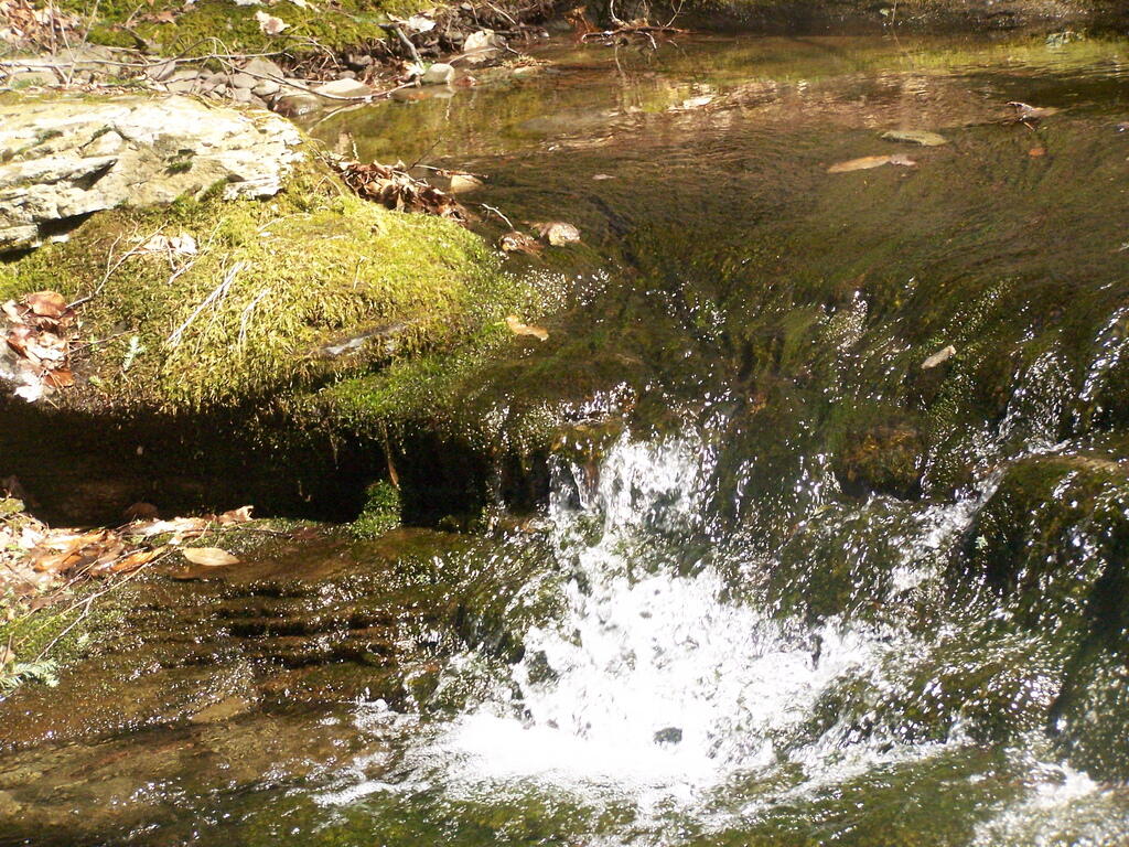 Photo: Stream Bed Photo: Stream Bed