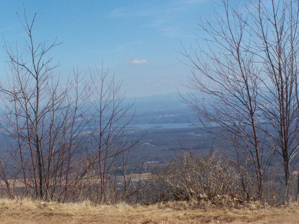 Photo: Mountains thru Trees Photo: Mountains thru Trees