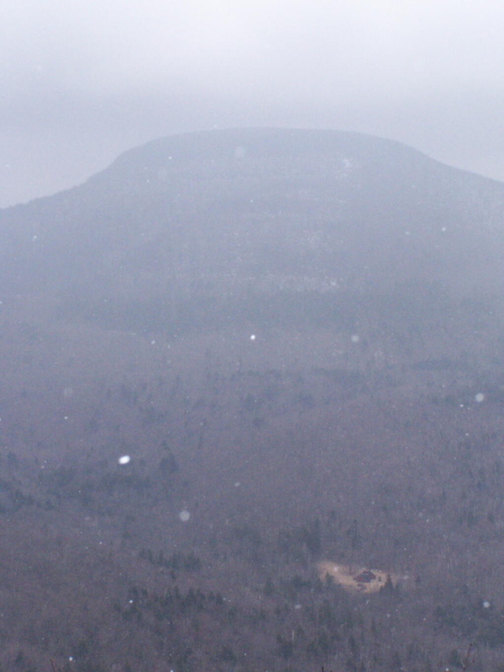 Photo: Snowing Photo: Snowing