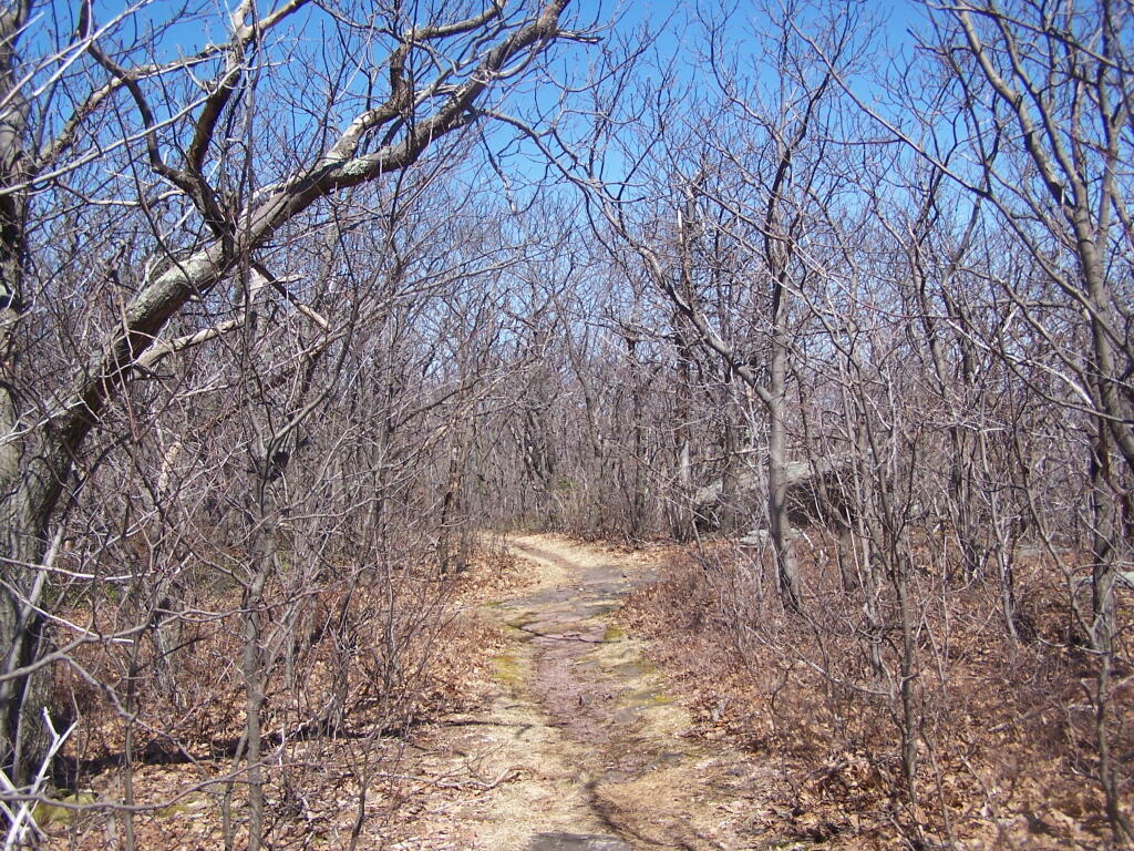 Photo: Blue Trail Photo: Blue Trail