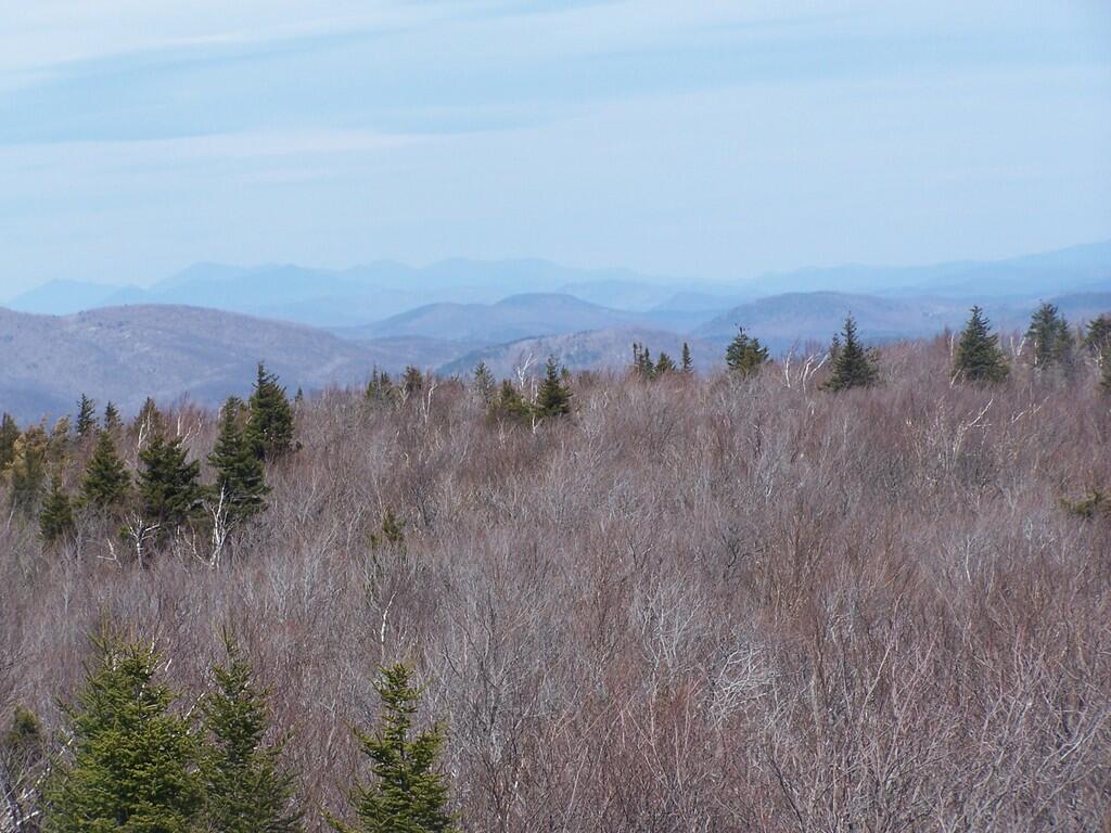 Photo: Wilcox Lake Wild Forest Photo: Wilcox Lake Wild Forest