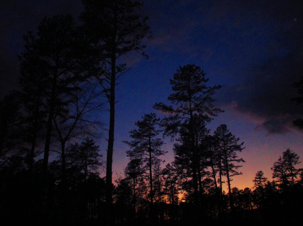 Photo: Pine Bush After the Hike Photo: Pine Bush After the Hike
