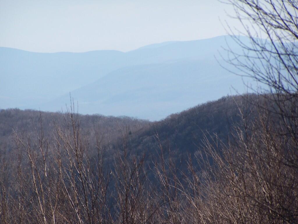 Photo: Mountains Through Trees Photo: Mountains Through Trees