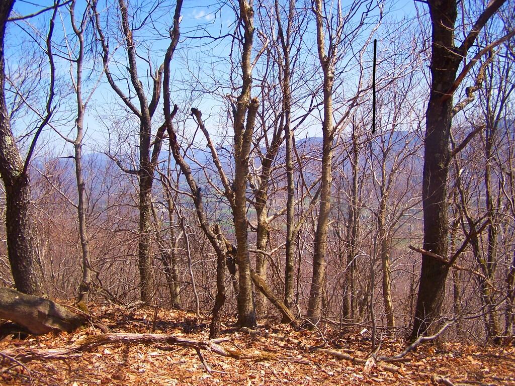 Photo: Greenfields in Valley Photo: Greenfields in Valley