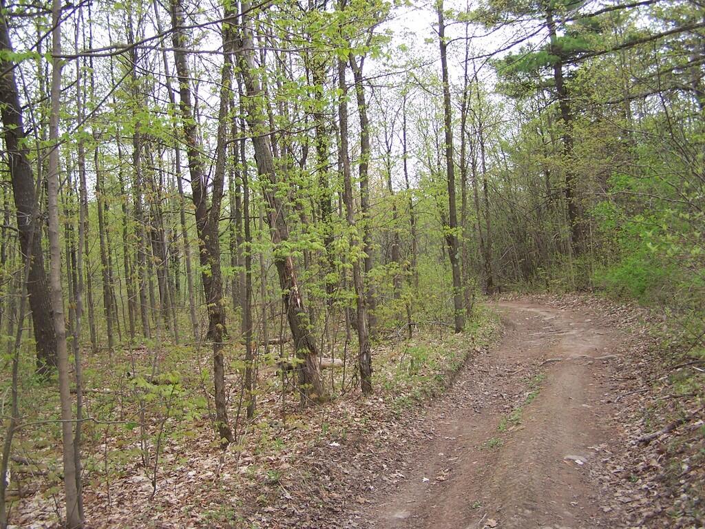 Photo: Trail to Hanger Glider Cliff