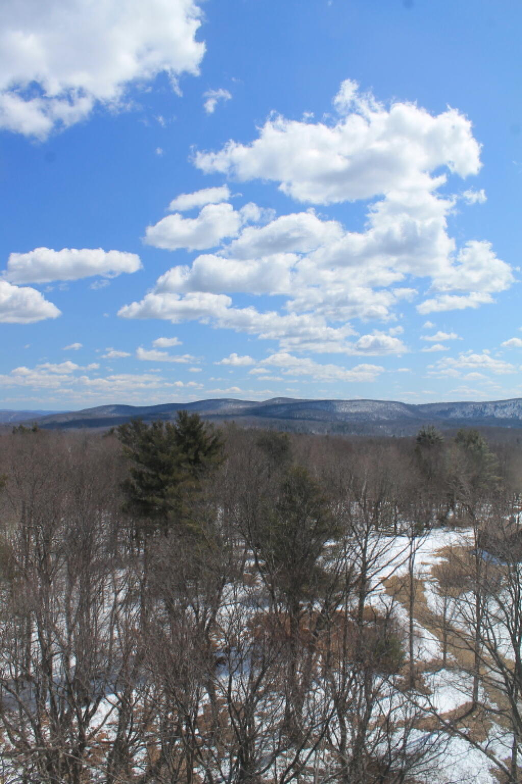 Photo: Nice Day Out Photo: Nice Day Out