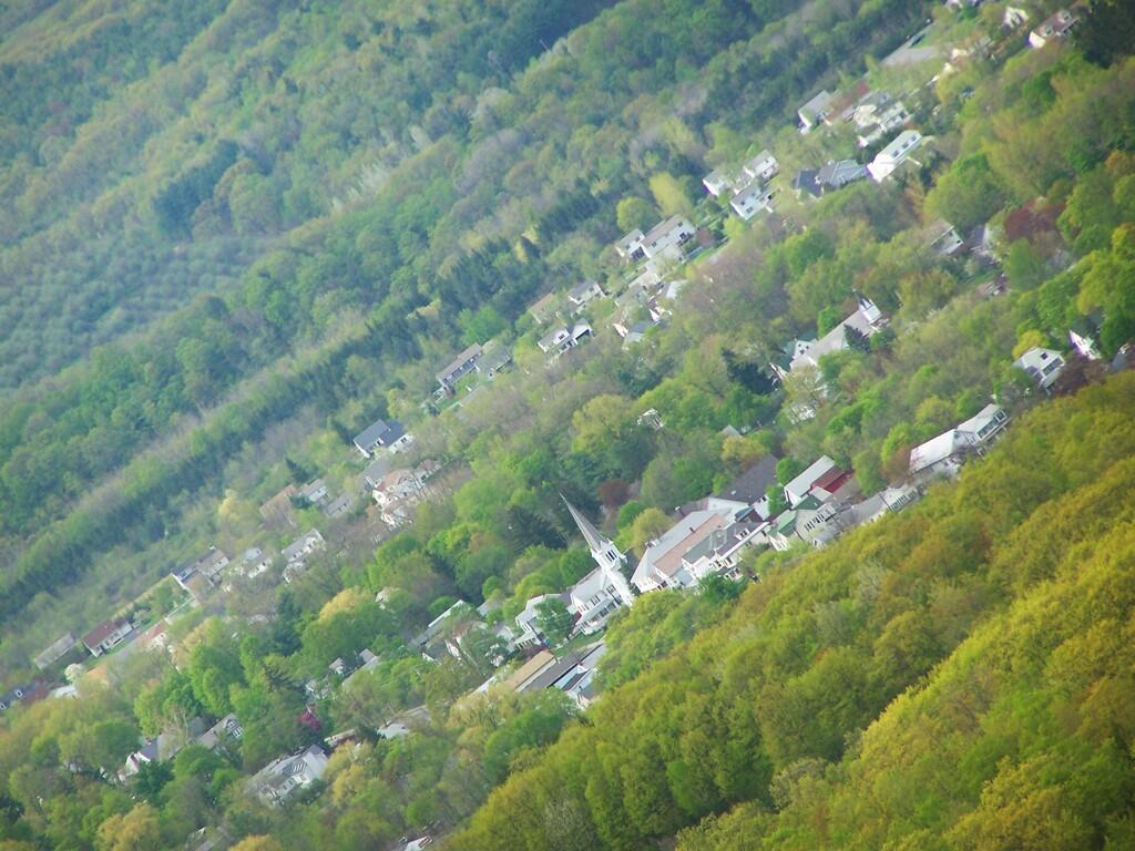 Photo: Altamont Photo: Altamont