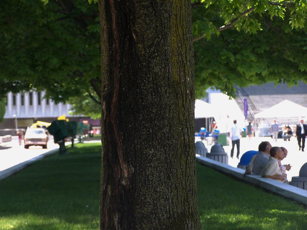 Photo: Trunk Photo: Trunk
