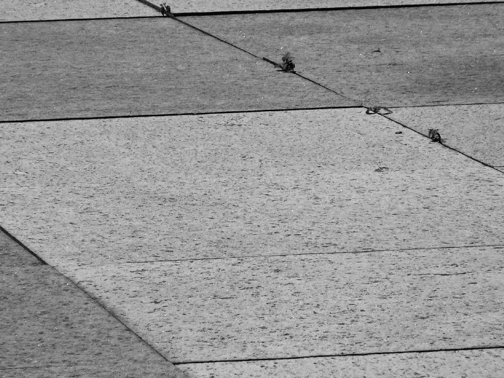 Photo: Sidewalk Photo: Sidewalk