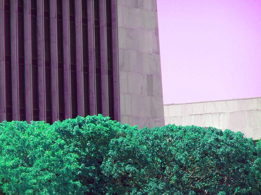 Photo: Untitled Photo: Untitled