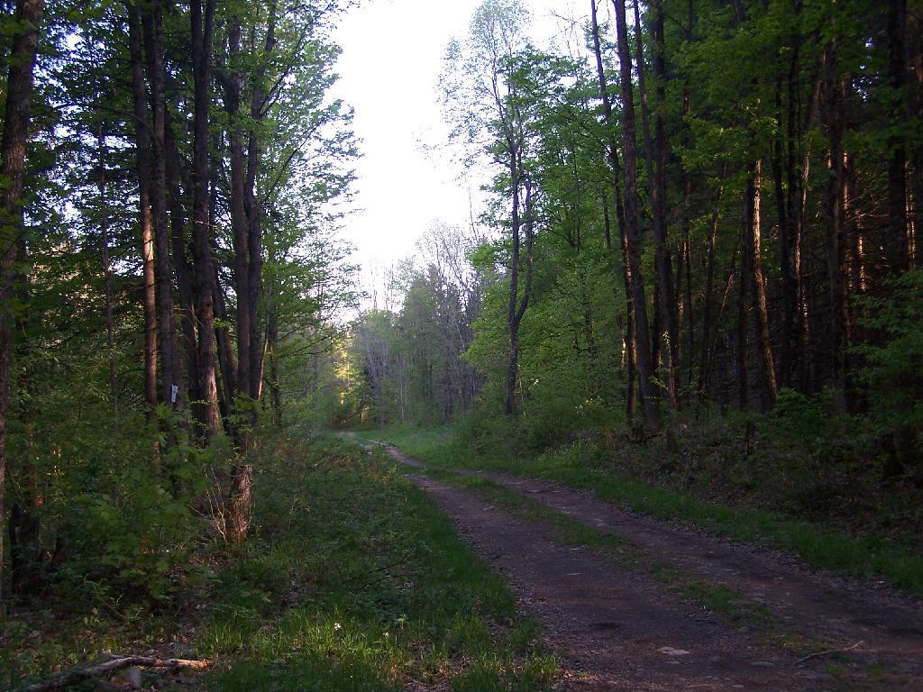 Photo: Betty Brook Road Photo: Betty Brook Road