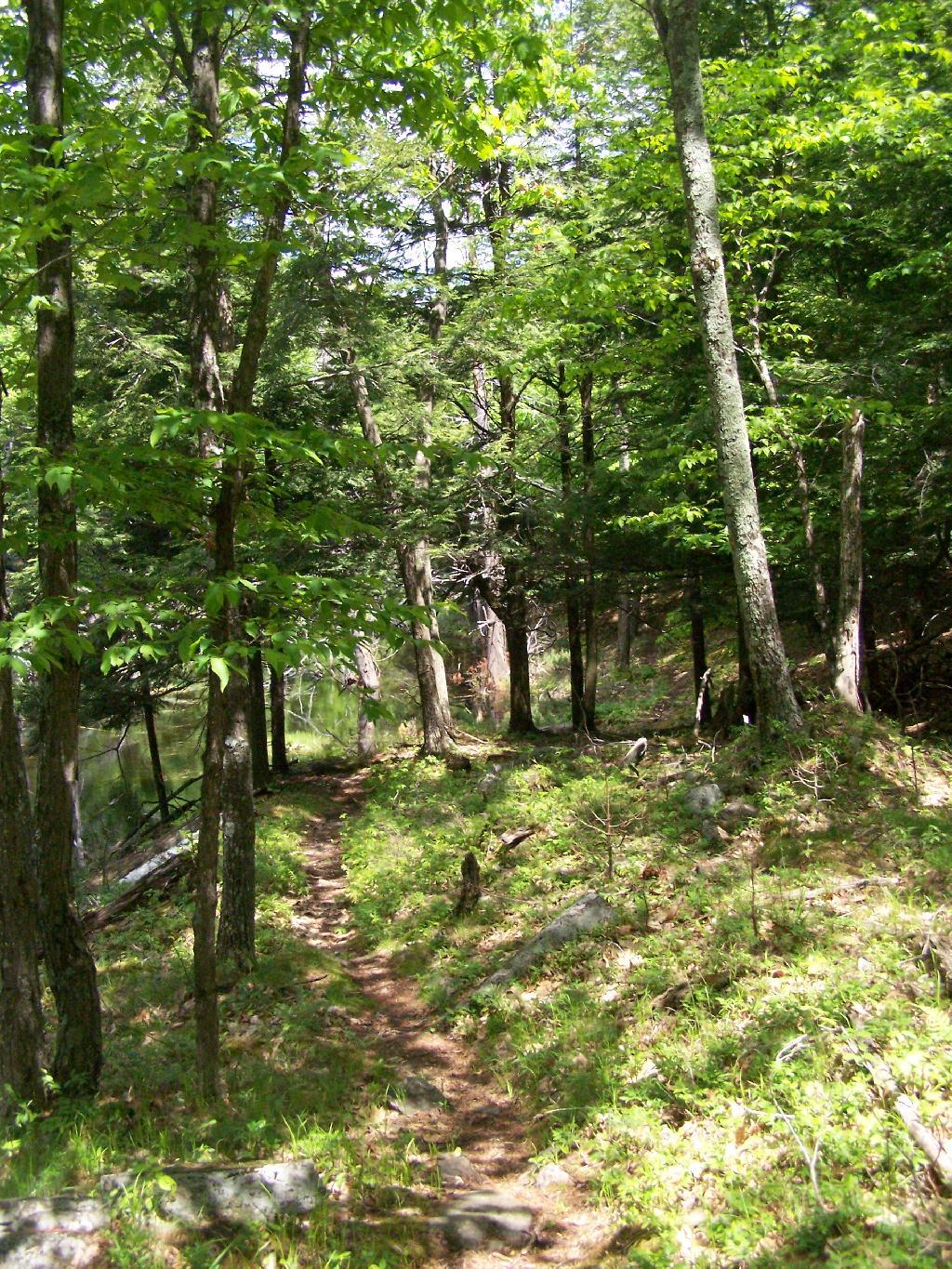 Photo: Hiking