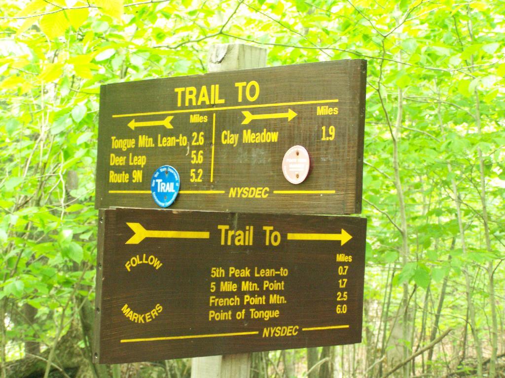 Photo: Trail Choices