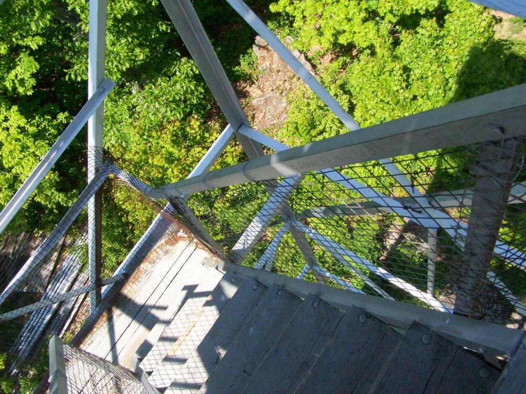 Photo: Not Afraid to Look Down Photo: Not Afraid to Look Down