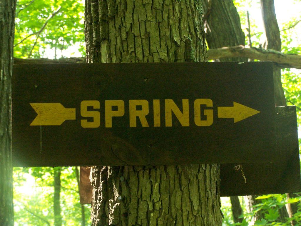 Photo: Spring Photo: Spring