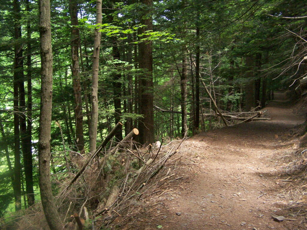 Photo: Old Road Bed Photo: Old Road Bed