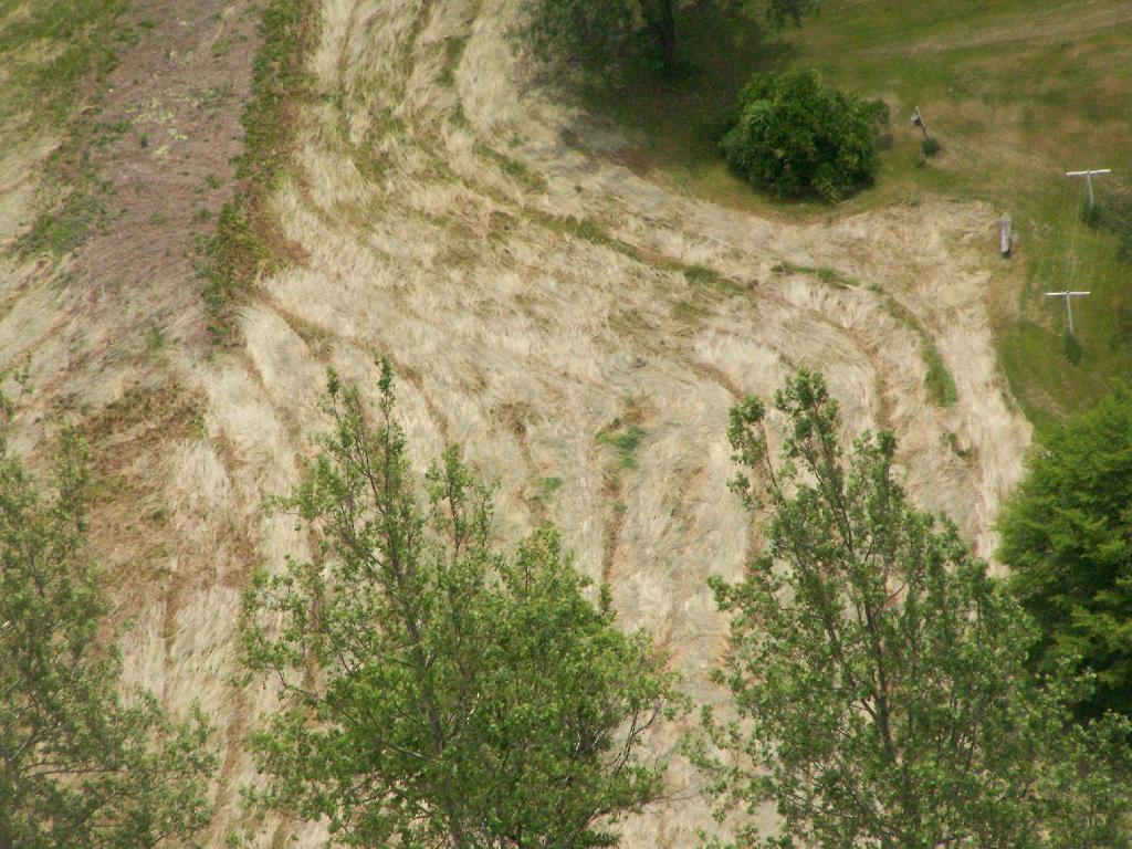 Photo: Hay Pattern Photo: Hay Pattern