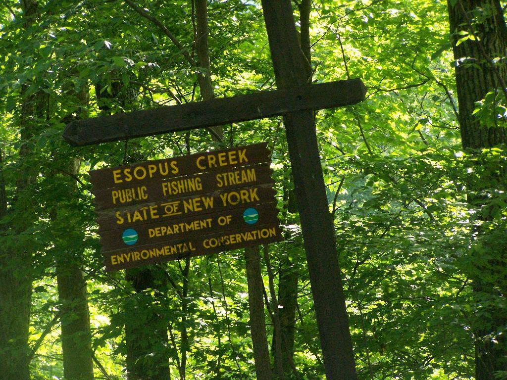 Photo: Esophosus Creek Photo: Esophosus Creek