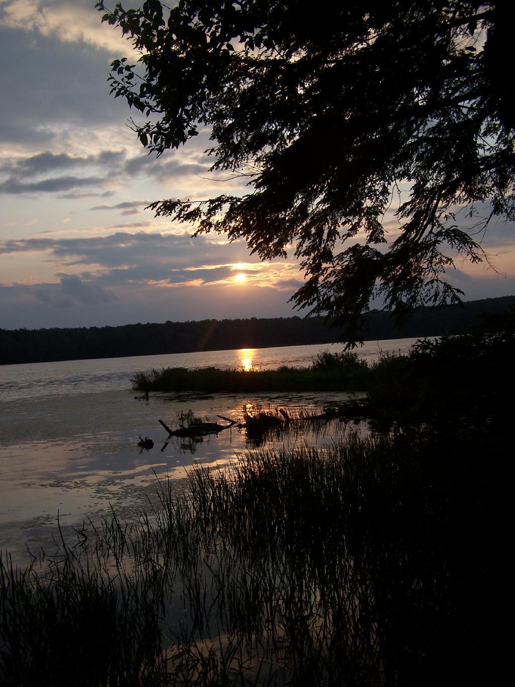 Photo: Night Falls Photo: Night Falls