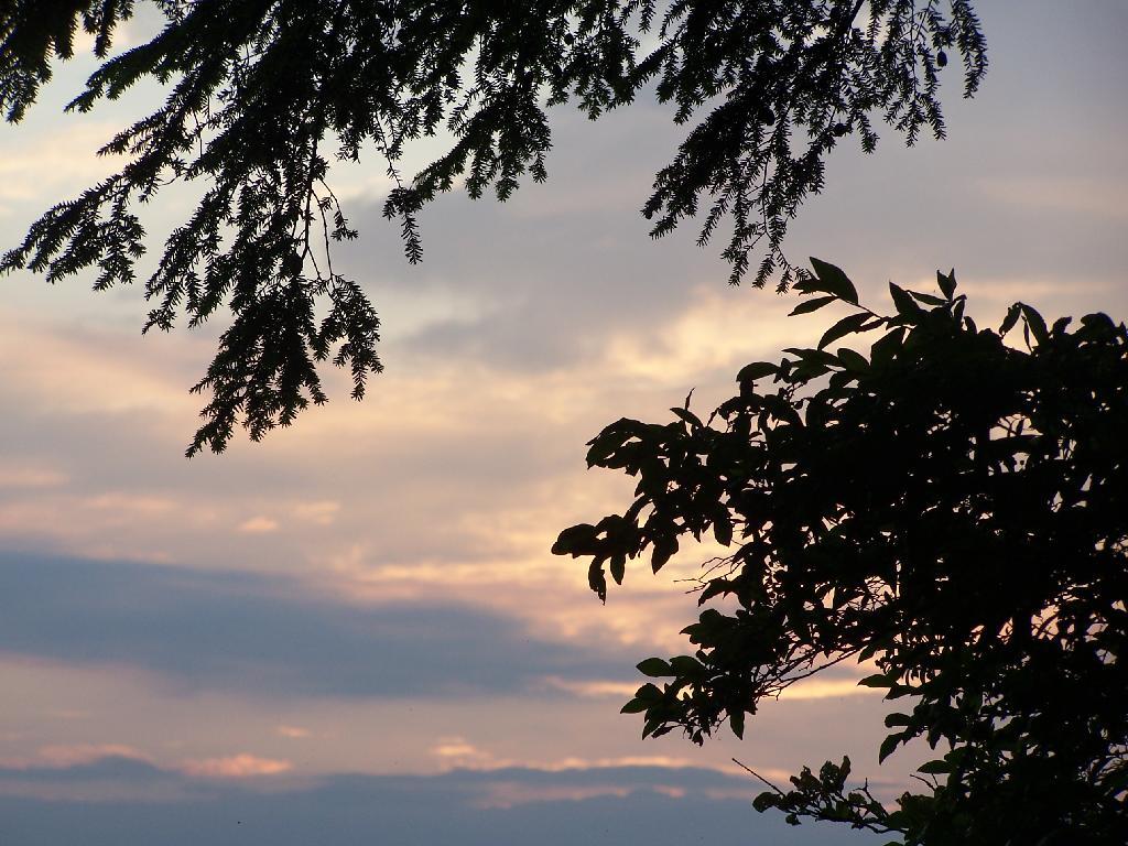 Photo: Good Night Photo: Good Night