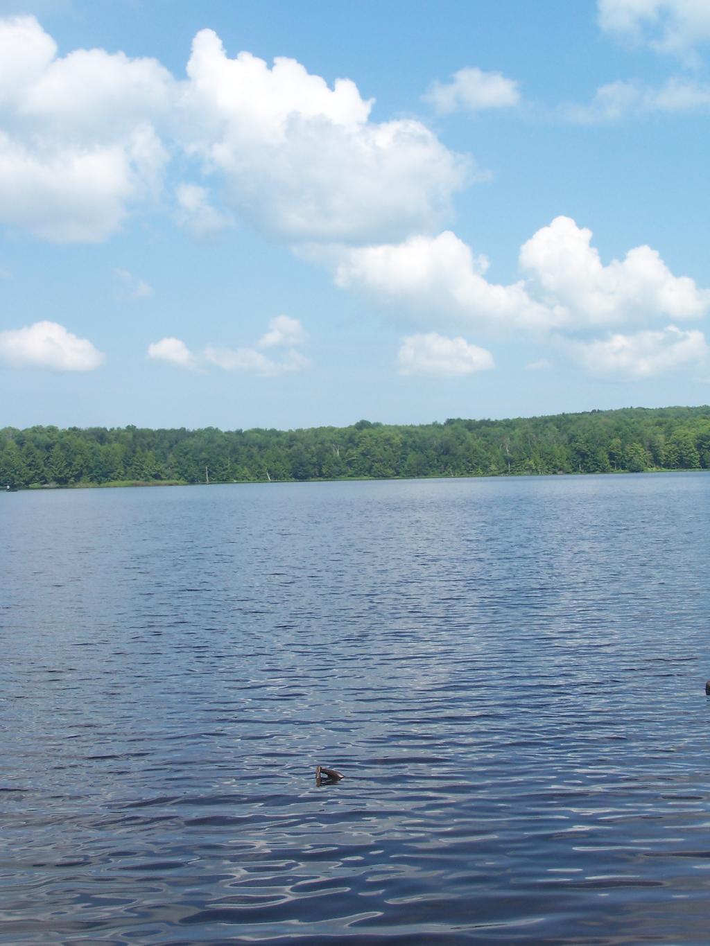 Photo: Lake Photo: Lake