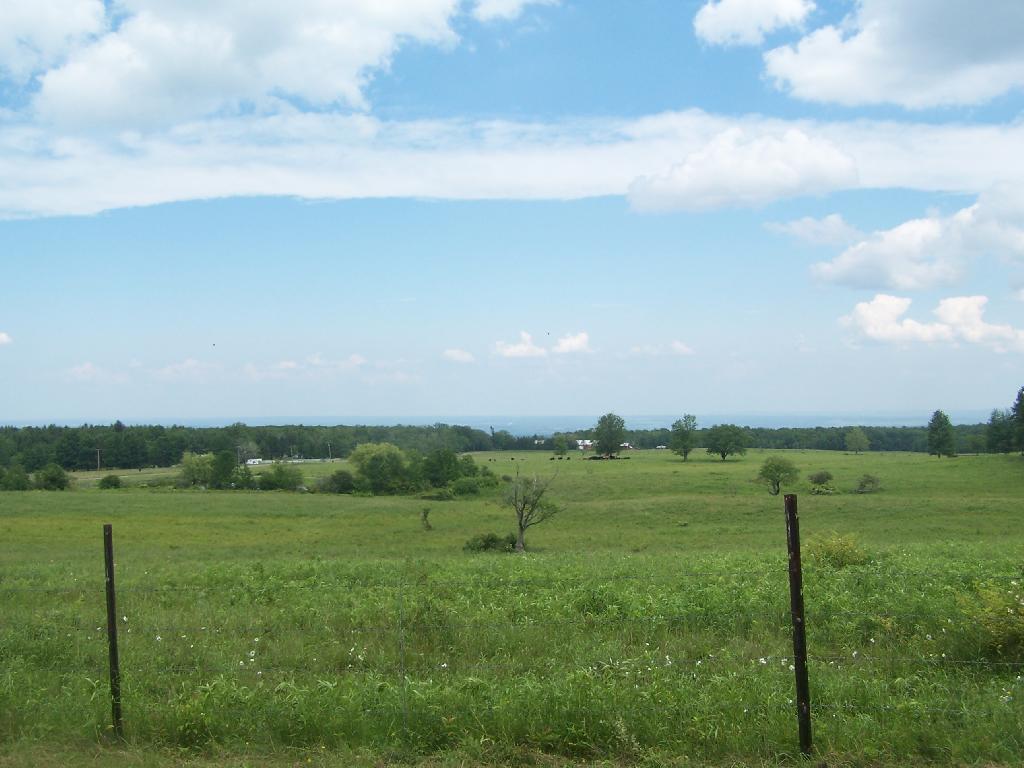Photo: Pasture Photo: Pasture