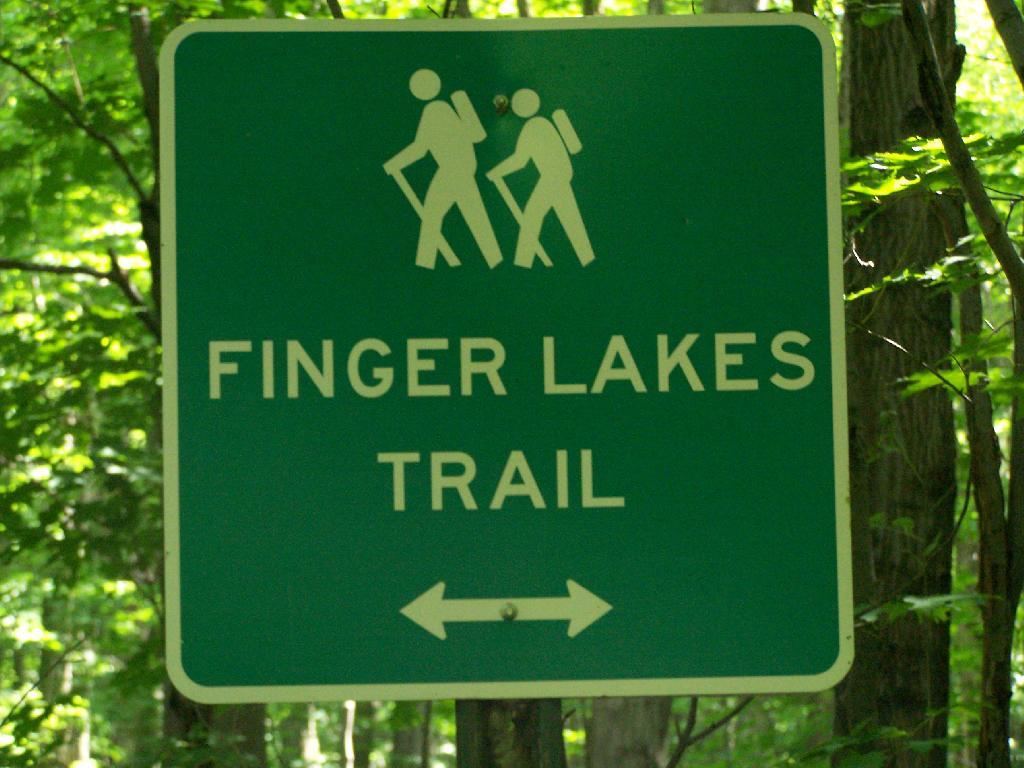 Photo: Finger Lakes Trail Photo: Finger Lakes Trail