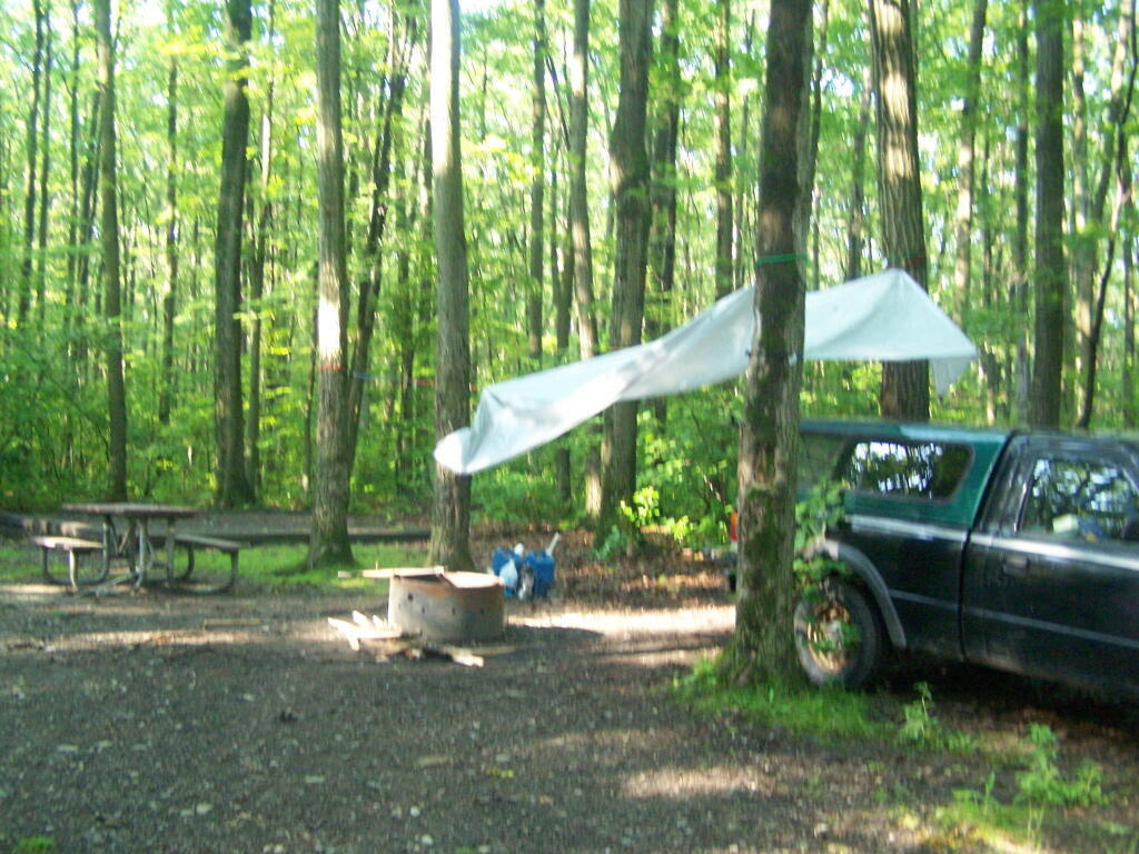 Photo: The Digs Photo: The Digs