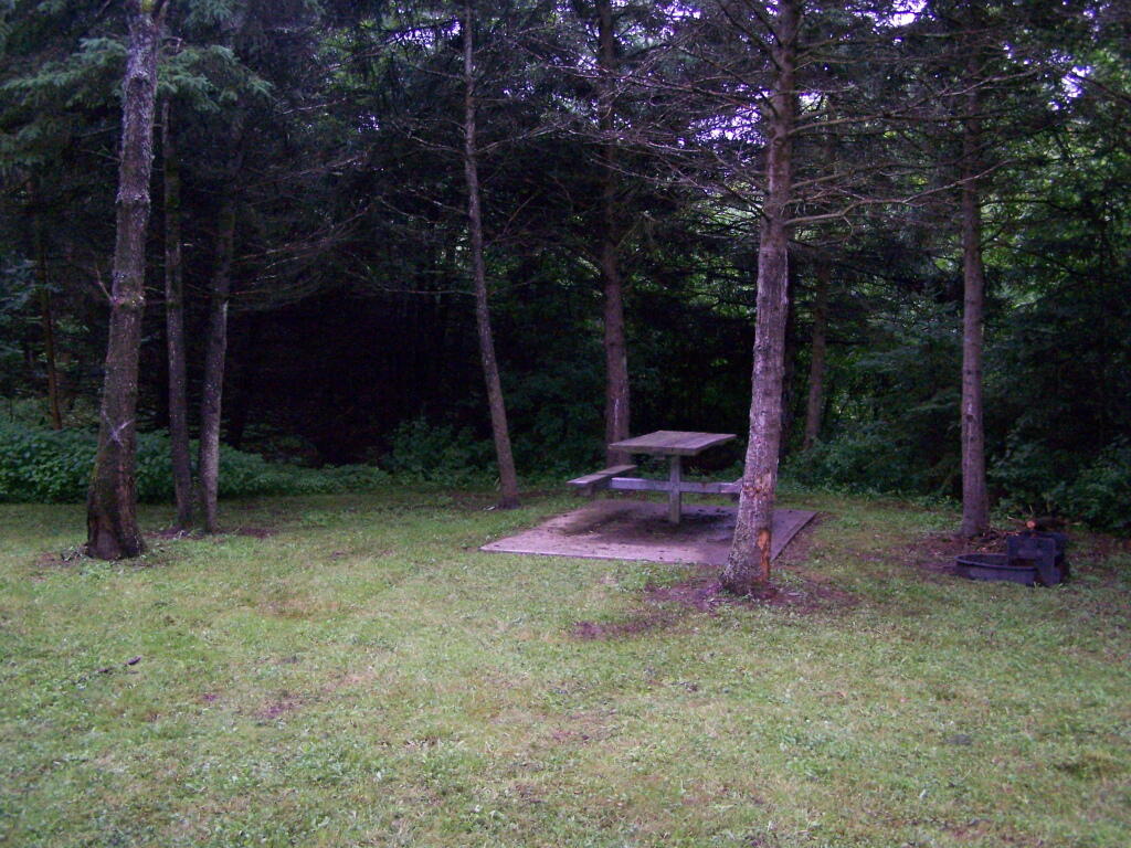 Photo: The Digs