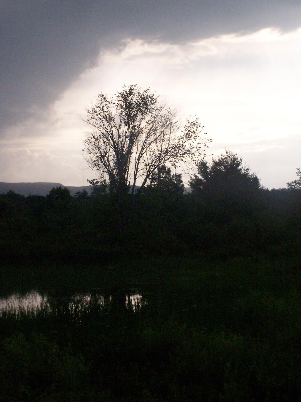 Photo: Storm Coming Photo: Storm Coming