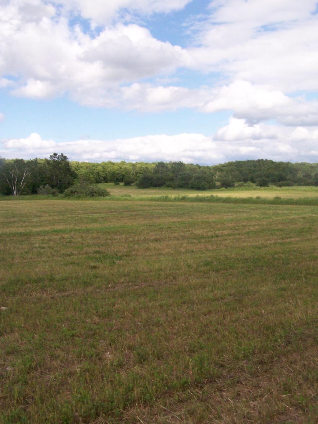 Photo: Field