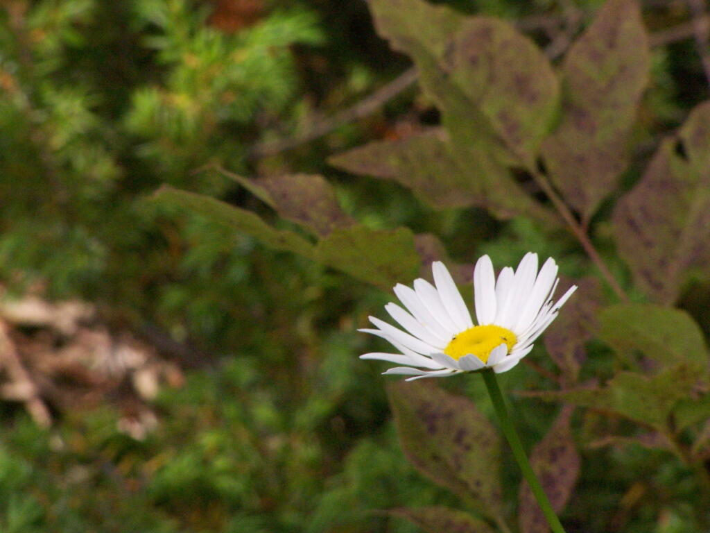 Photo: One