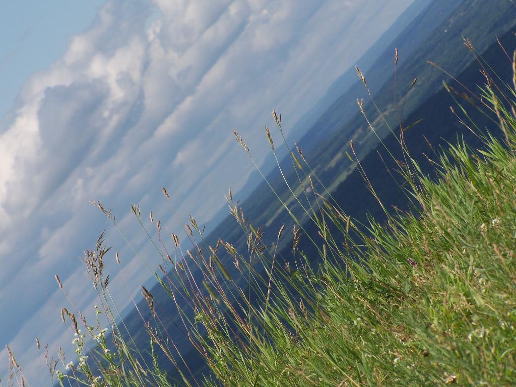 Photo: Hay Photo: Hay