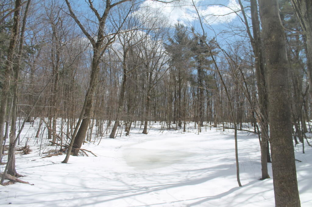 Photo: Opal Pond in the Winter