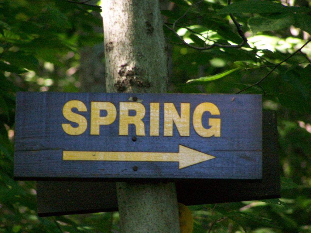 Photo: Spring Photo: Spring