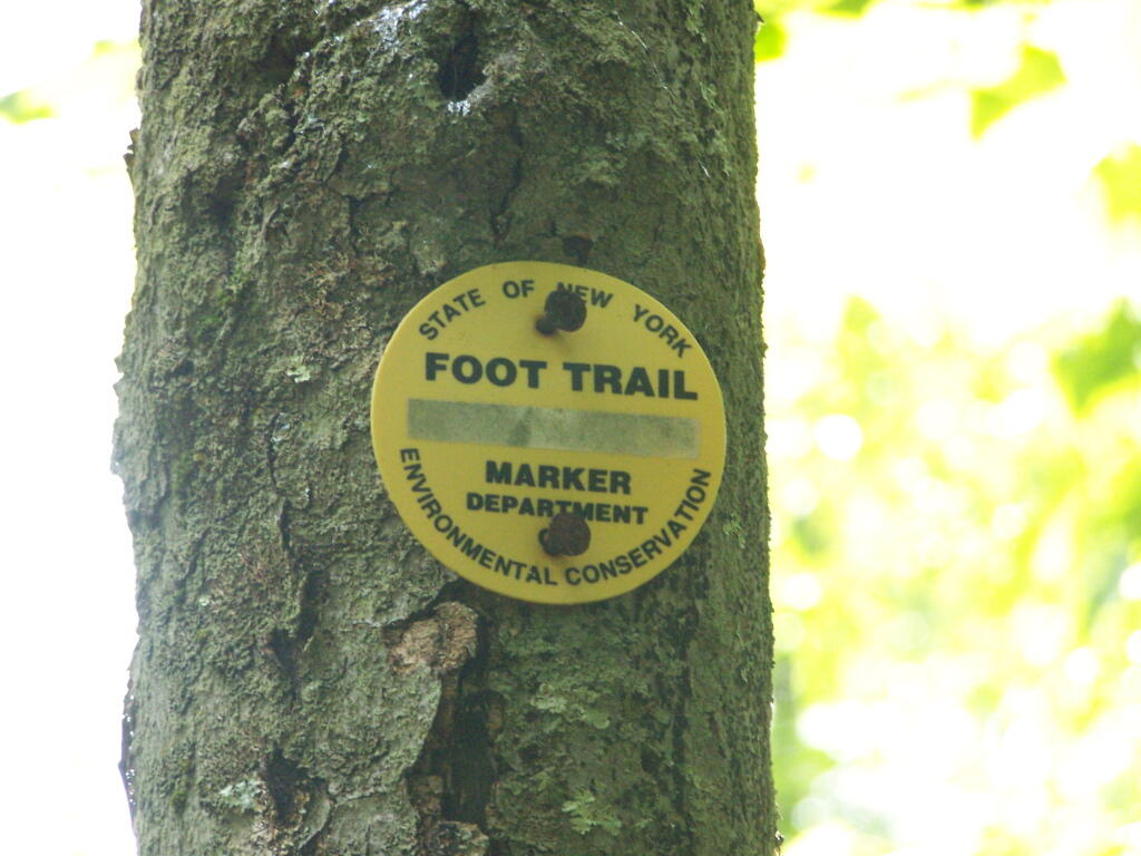 Photo: Yellow Trail