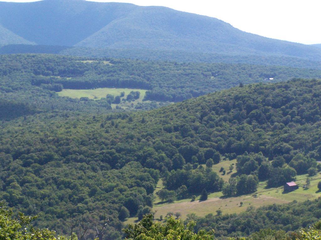 Photo: Farms in Valley