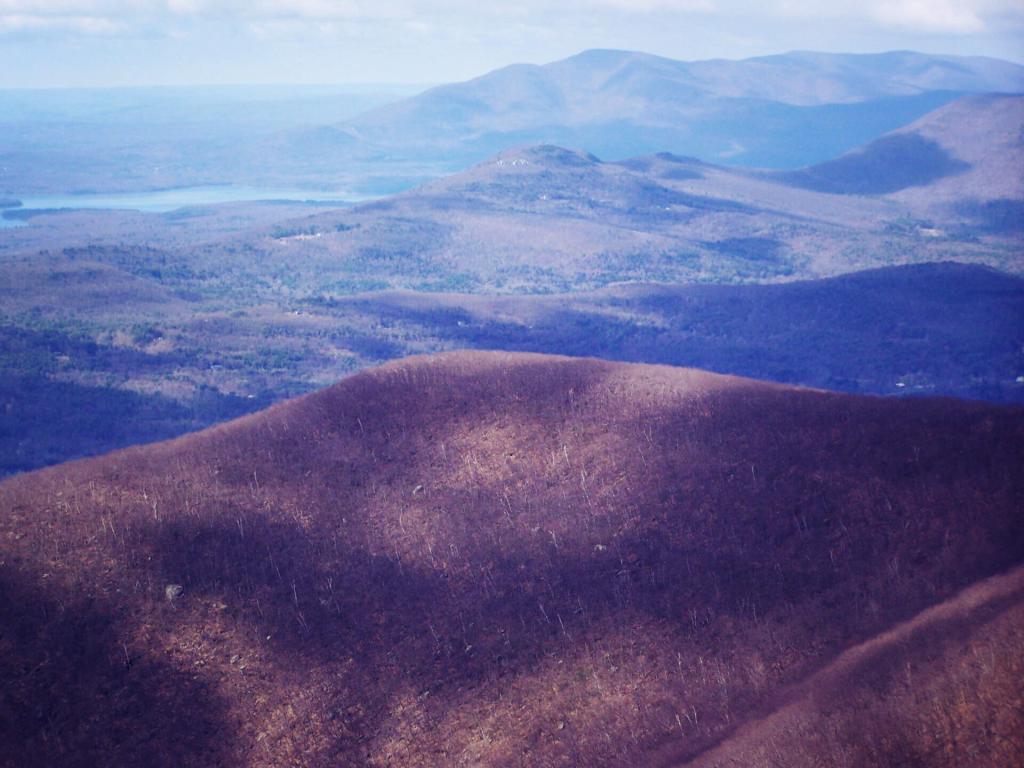 Photo: Shoulder of Overlook Mountain Photo: Shoulder of Overlook Mountain