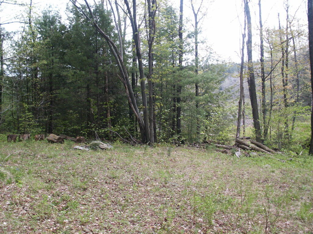 Photo: Campsite Photo: Campsite