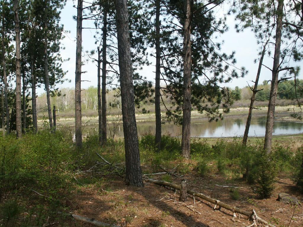 Photo: Pond Photo: Pond