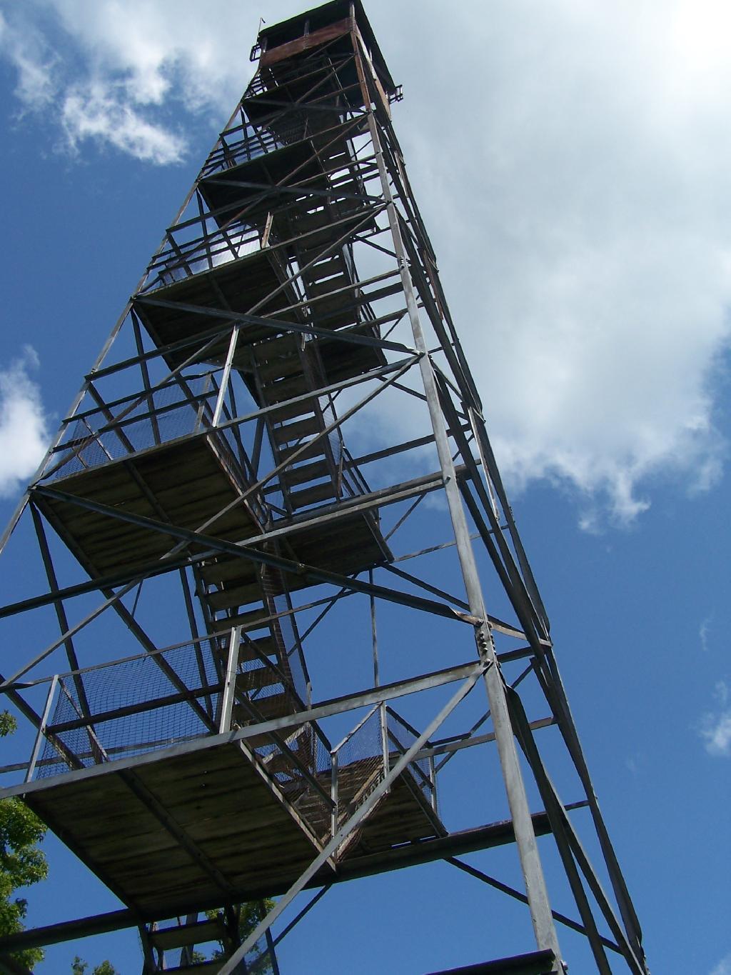 Photo: The Tower Photo: The Tower