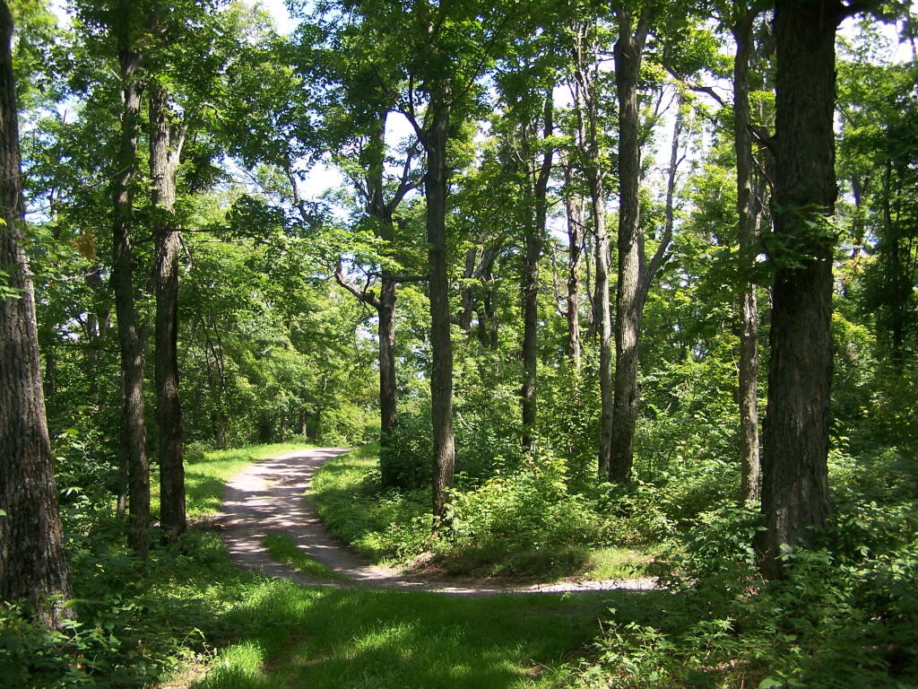 Photo: Truck Trail to Tower Photo: Truck Trail to Tower